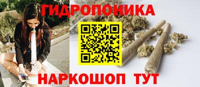 мдпв Дубна