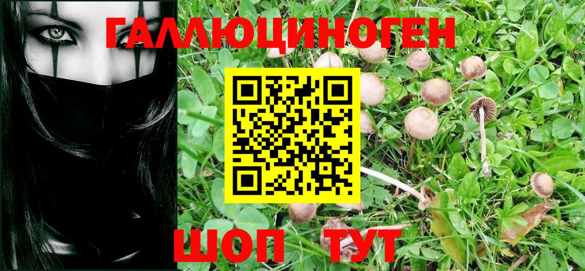 Псилоцибиновые грибы Psilocybe  Вход с VPN  Надым  Галлюциногенные грибы ЛСД 