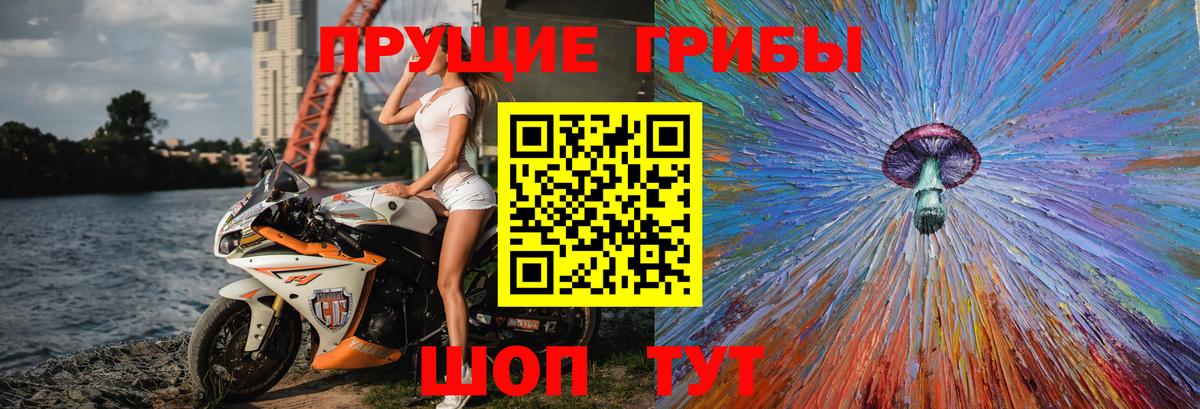 Псилоцибиновые грибы прущие грибы Надым